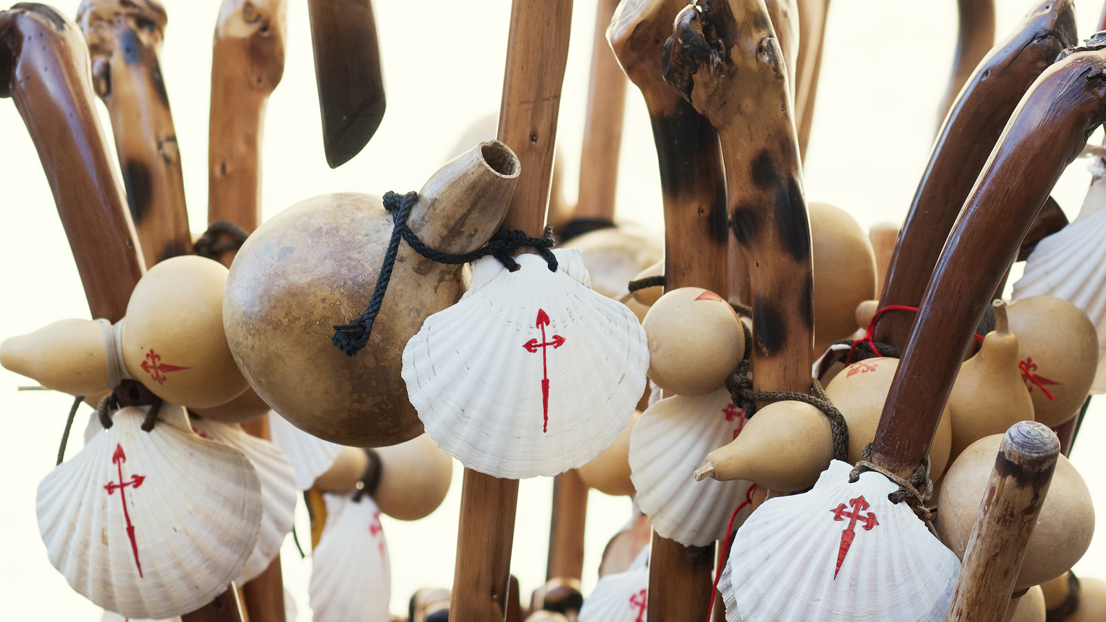 The French Scallop Named For A Saint