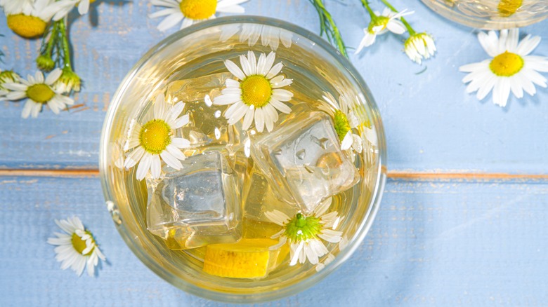 chamomile iced tea surrounded by chamomile flowers