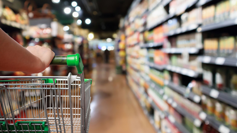 person pushing shopping cart at fresh market