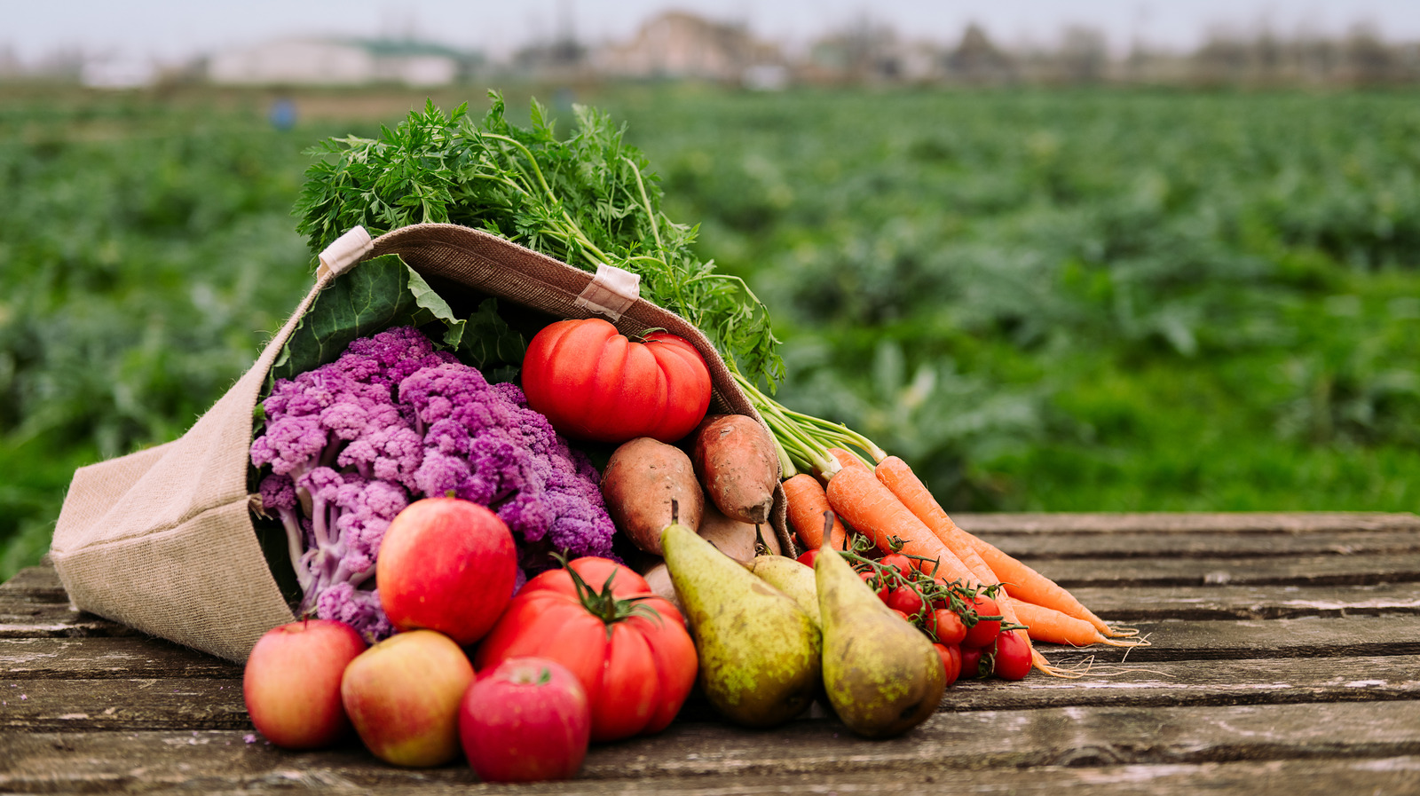 The Fruits And Veg That Helped Earn New Jersey The Title 'Garden State'