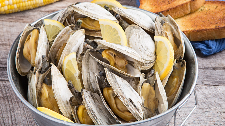 steamed clams in a bucket with corn