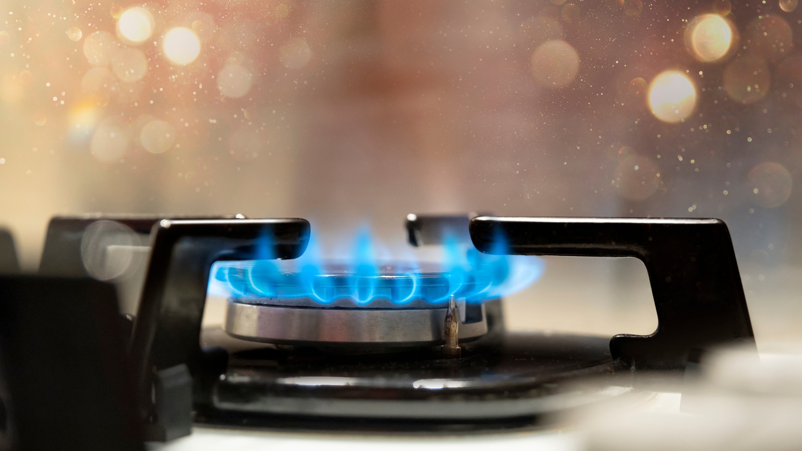 The Gas Vs. Electric Oven Debate, Explained