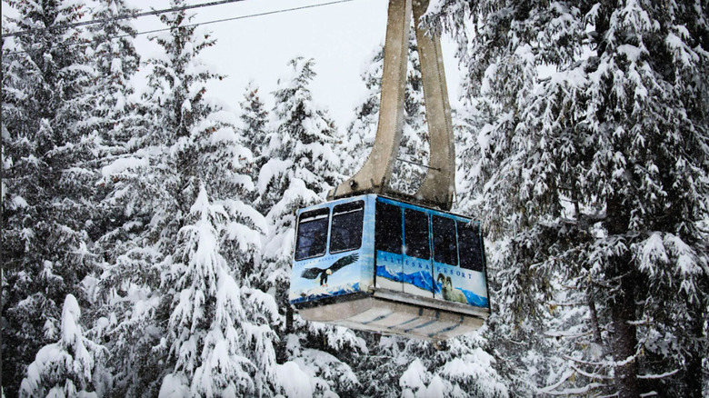 Aerial tram in snowy landscape