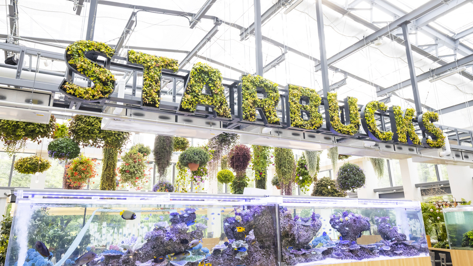 The Tokyo Starbucks Located In A Vibrant Greenhouse