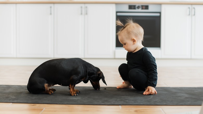 A baby sitting on a floor mat in kitchen with a dachshund