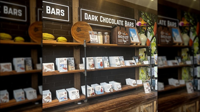 Shelves stocked with square and rectangular chocolate bars in various flavors