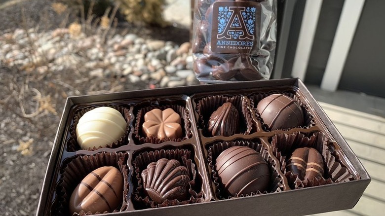 Box of eight chocolate confections alongside bag of chocolate treats with Annedores Fine Chocolates logo
