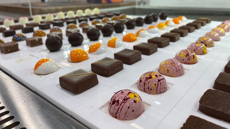 Several varieties of chocolate confections displayed in lines