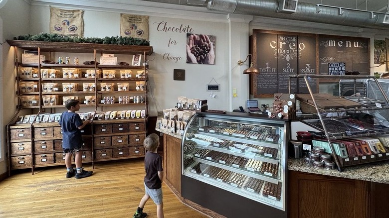 Two young boys browsing chocolate shop stocked with bars and confections