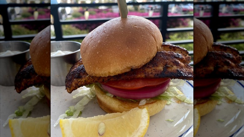 Fish sandwich with tomato and red onion on white plate