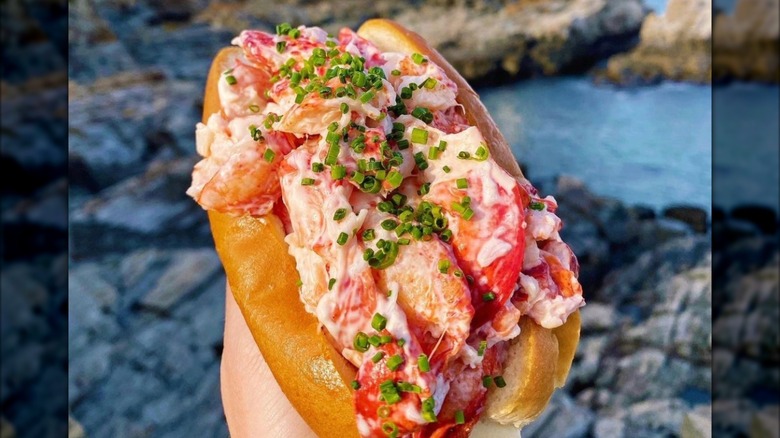 Hand holding a lobster roll