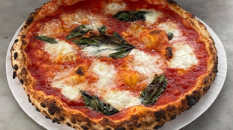 Wood-fired margherita pizza