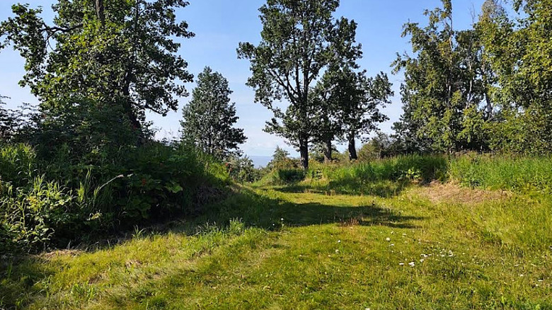 The Outdoor Center grounds at Kincaid Park