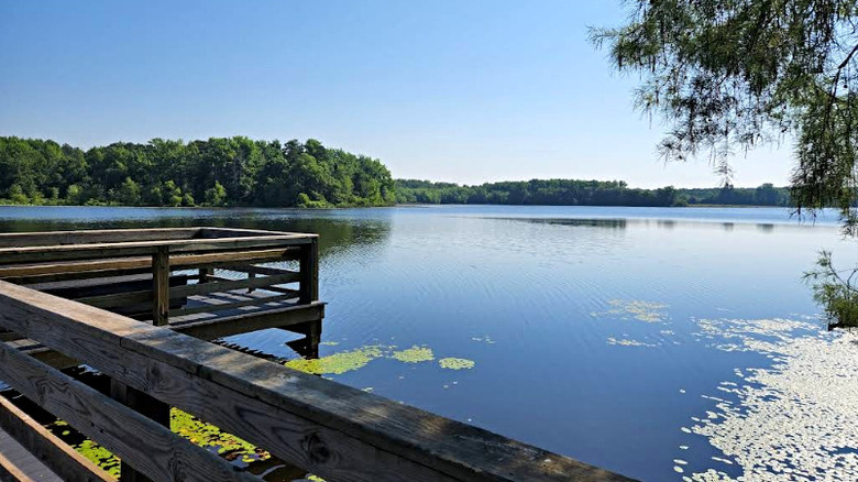 Lake Bailey at Petit Jean State Park