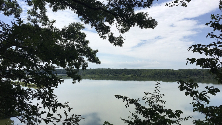 Park with trees in Indiana