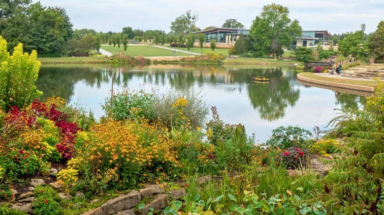 Pond view at Overland Park Arboretum and Botanical Gardens