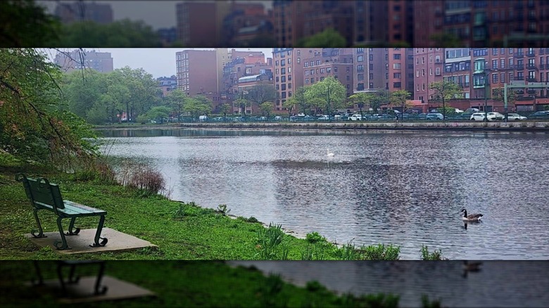 Bench on the Charles River Esplanade