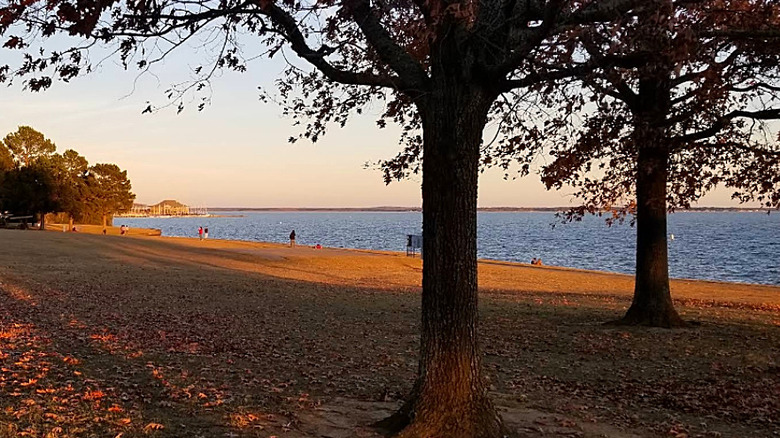 Old Trace Park in autumn