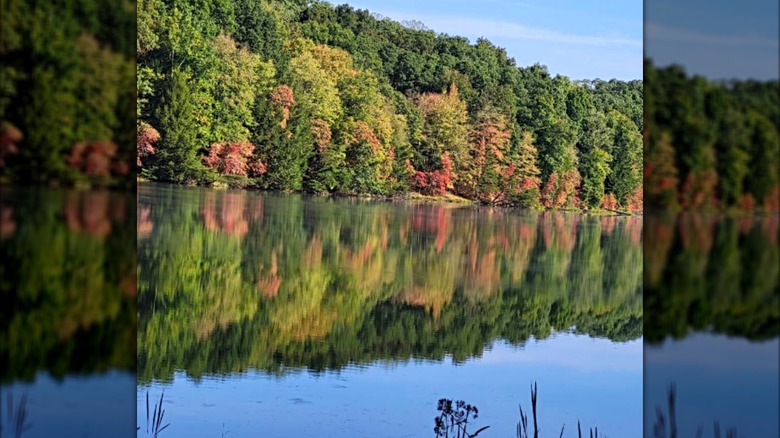 Trees reflected in Rose Lake at Hocking Hills State Park