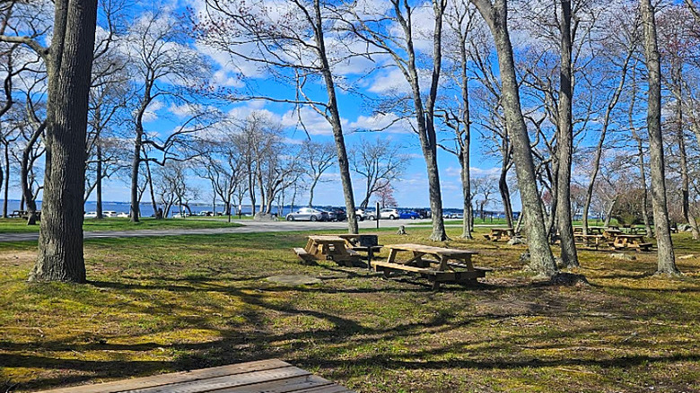 Picnic area at Colt State Park