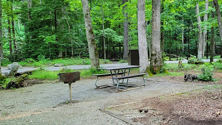 Table and grill at Cades Cove Picnic Area