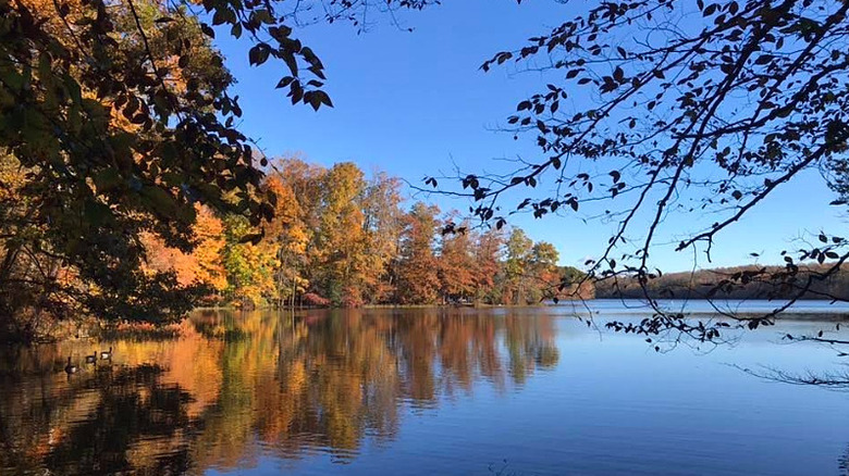 Burke Lake in autumn