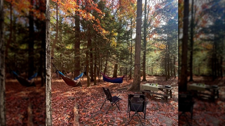 Hammocks, chairs, and tables with fallen leaves in autumn at Coopers Rock State Forest