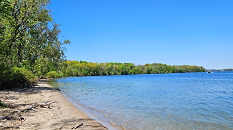 Picnic Point Beach on Lakeshore Nature Preserve