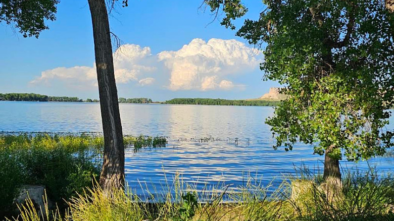 Trees and reservoir view at Hawk Springs State Recreation Area