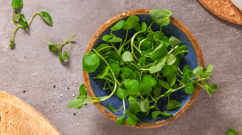 a bowl of watercress on a concrete counter with wood boards and sesame seeds surrounding it