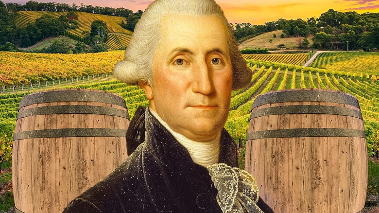 George Washington Vineyards Composite