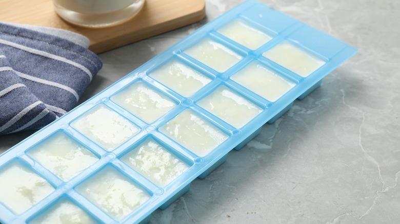 Milk ice cubes in tray