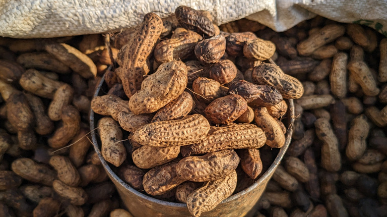 top down view of a bowl of peanuts