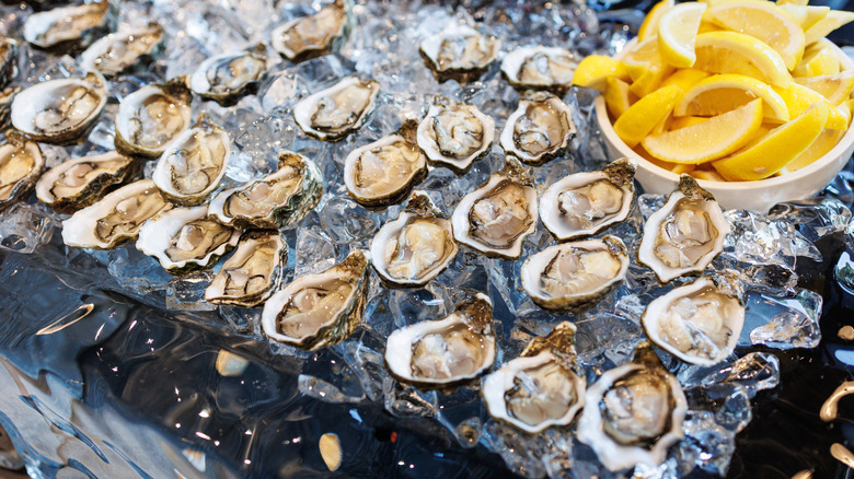 Fresh oysters chilled in ice