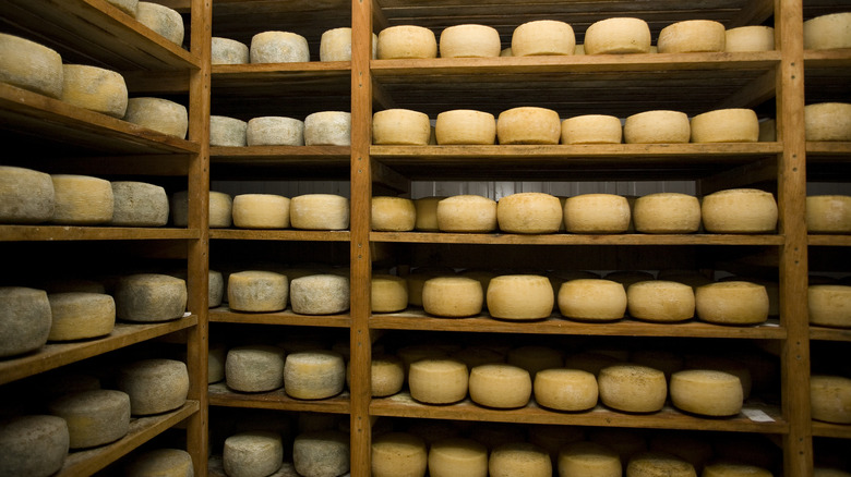 Shelves of curing cheese wheels.