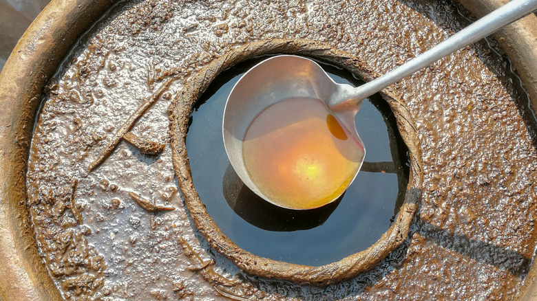 fermenting fish sauce