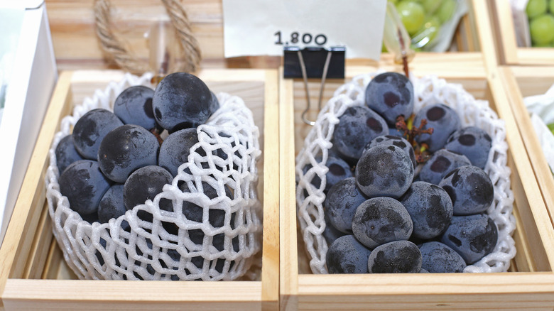 The Japanese Grape Variety Named In Honor Of Mt Fuji The Japanese Grape Variety Named In Honor Of Mt Fuji