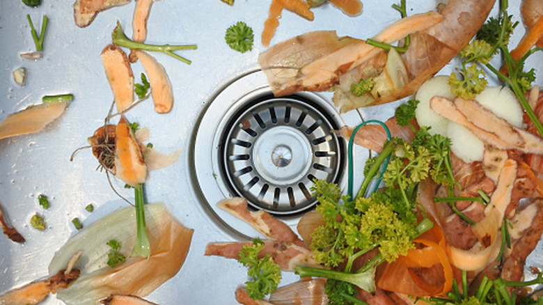 vegetable scraps in a kitchen sink