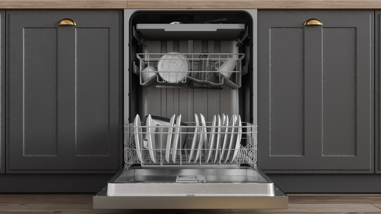 Front view of open dishwasher
