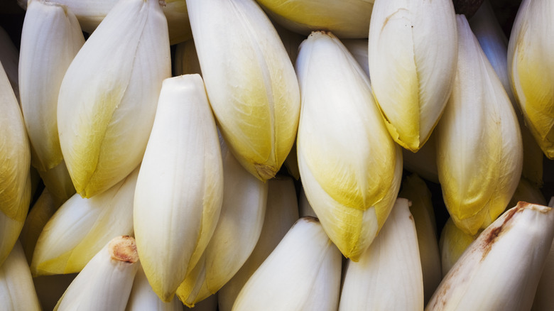 Belgian endives