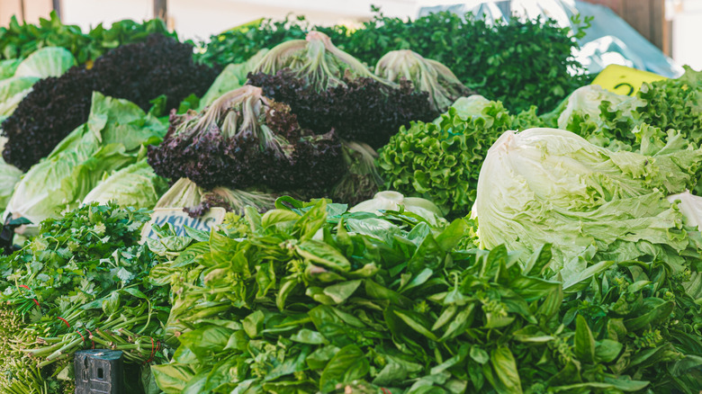 Different types of lettuce and greens on display at a market