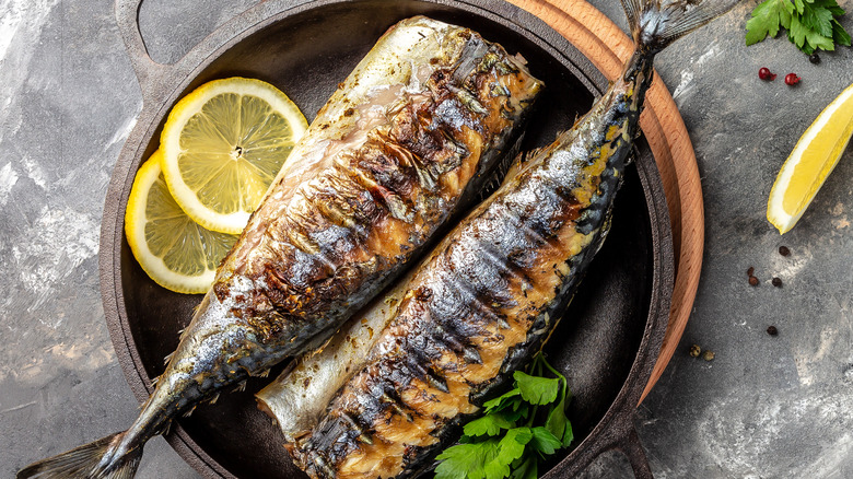 Grilled mackerel on plate