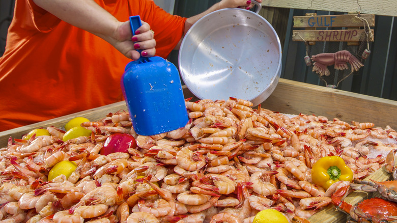 Fresh shrimp in Louisiana being scooped into a bowl