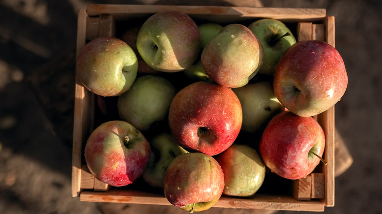 A wooden crate of apples