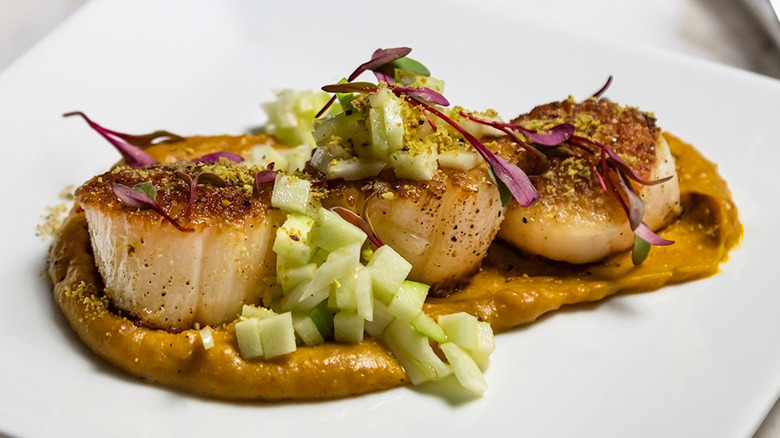 scallop dish from Muse