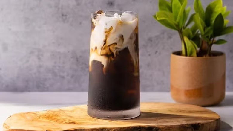 Starbucks' vanilla sweet cream cold brew on wood board with potted plant