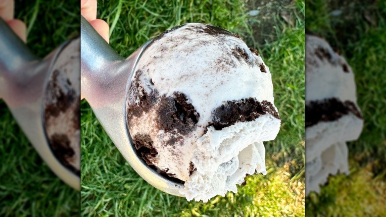 Cookies and cream ice cream in scoop on grass background