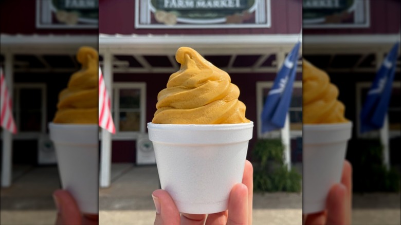 Hand holding tub of pumpkin ice cream