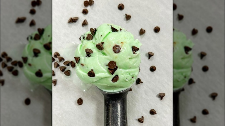 Mint choc chip ice cream in scoop