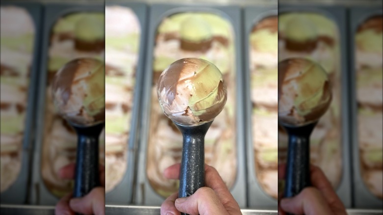 Spumoni ice cream in scoop